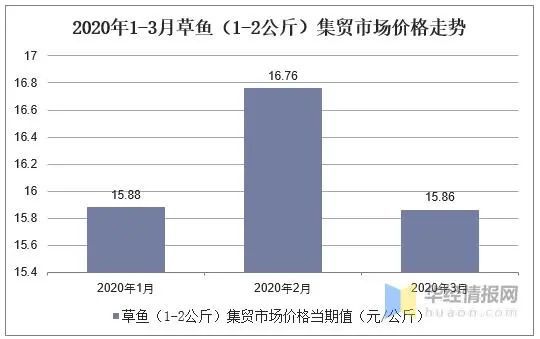 塑料筐最新价格