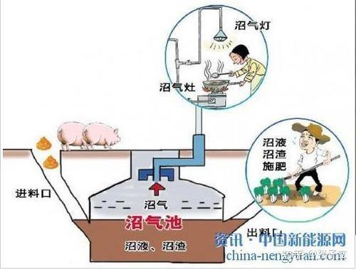 沼气能源设备最新内容