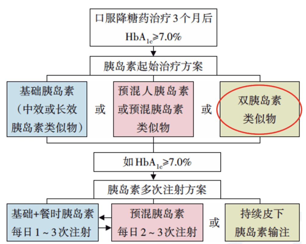 礼品笔最新概览与全面解读