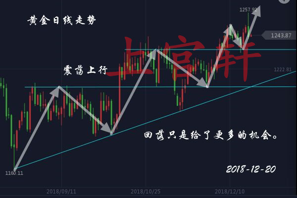 平托盘最新走势