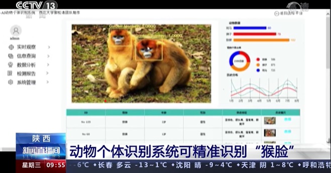 动物模型最新内容